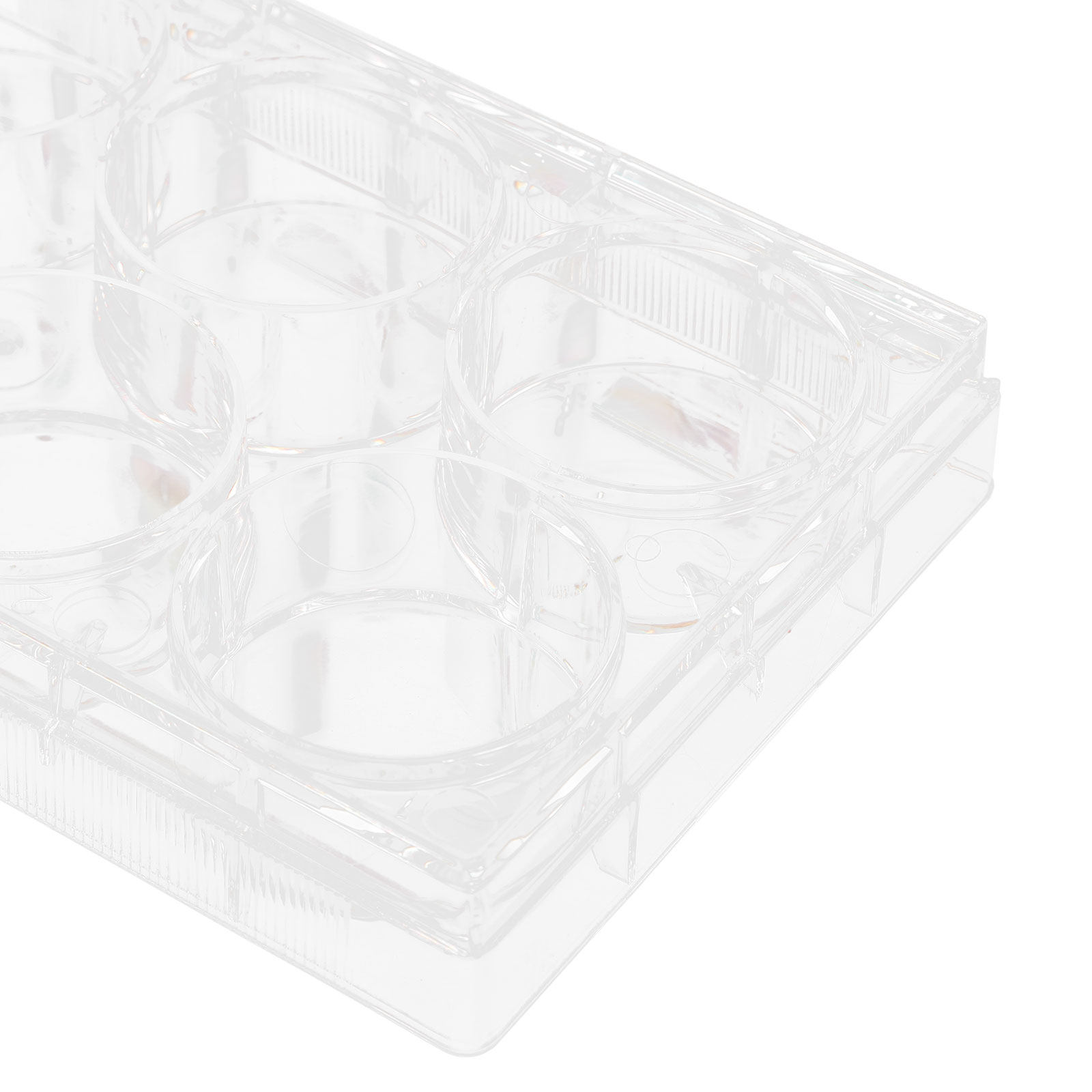 Placa de Cultivo de Tejidos, D - Lab Equipment reseña y precio